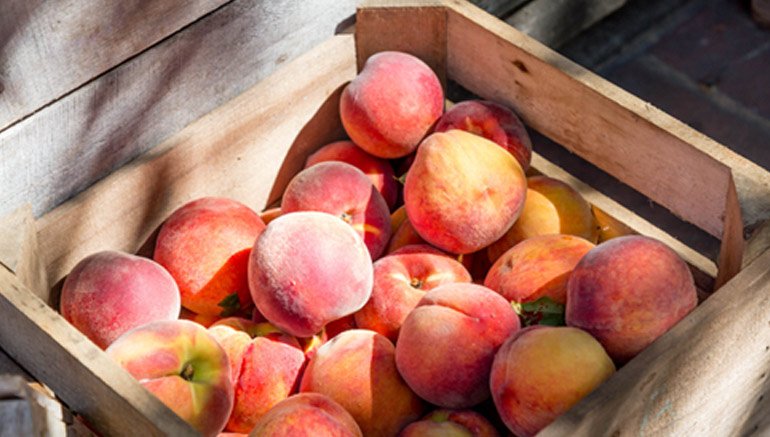 Bảo hành & Đổi trả